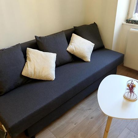 Appartement Cosy Entier, Parking Gratuit Dans La Rue Діжон Екстер'єр фото