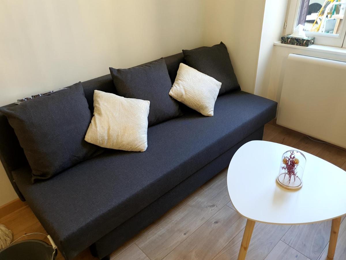 Appartement Cosy Entier, Parking Gratuit Dans La Rue Діжон Екстер'єр фото