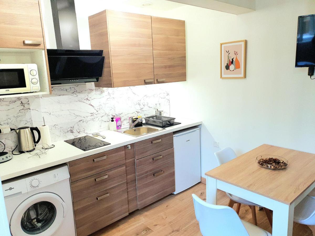 Appartement Cosy Entier, Parking Gratuit Dans La Rue Діжон Екстер'єр фото