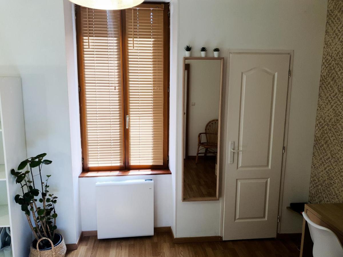 Appartement Cosy Entier, Parking Gratuit Dans La Rue Діжон Екстер'єр фото
